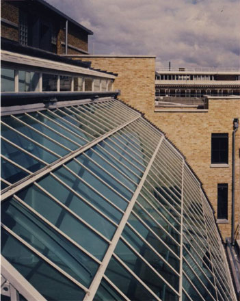 Descriptive Image Name